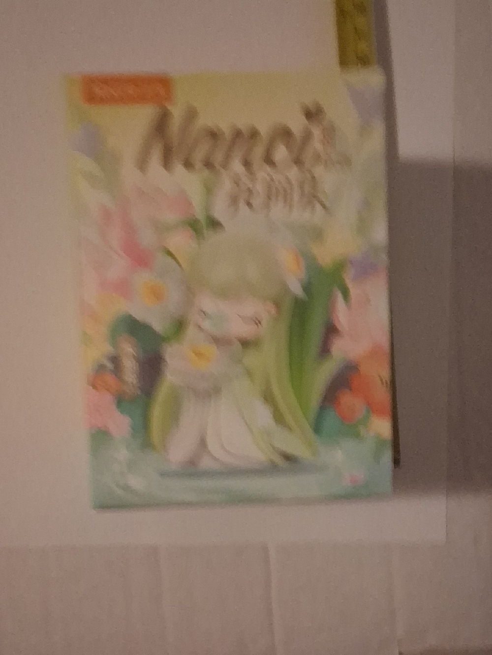 New Rolife Nancy Flowers Stories Blind Box